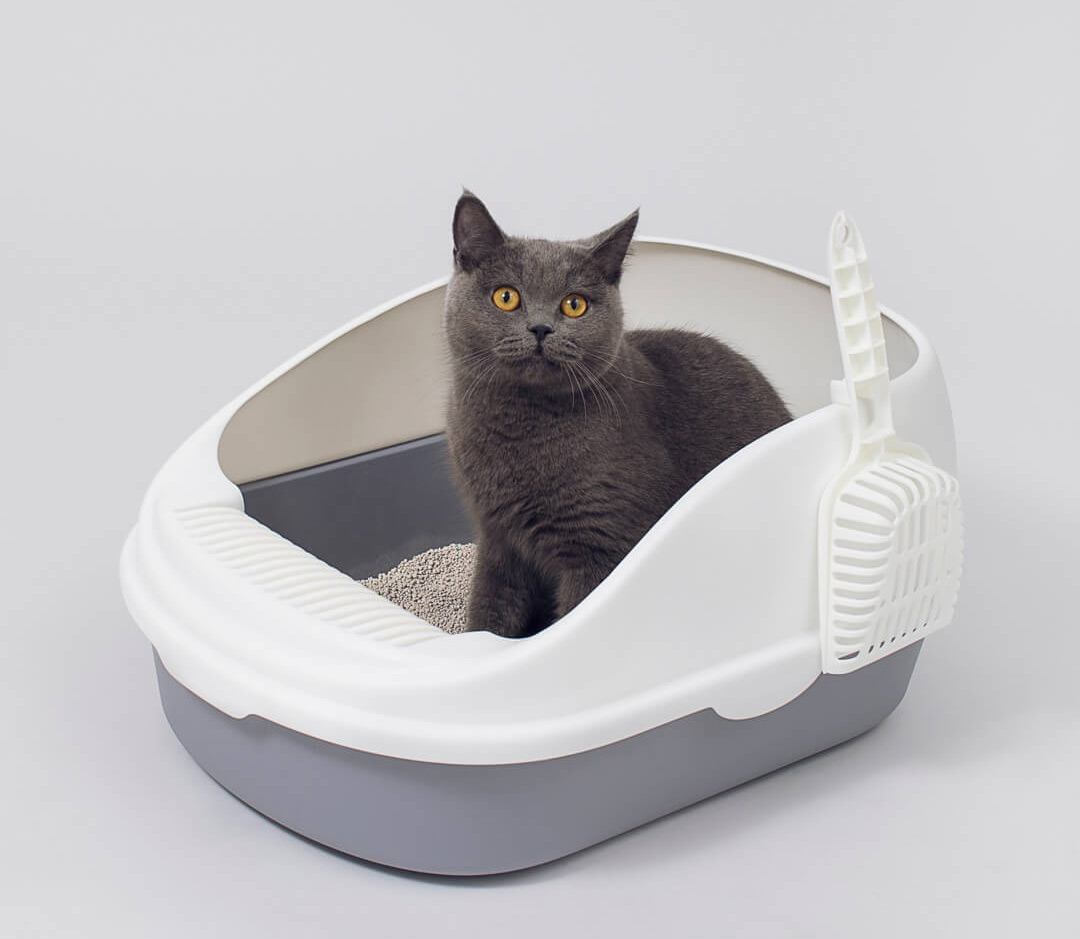 131 Support : Xiaomi SSC Cat Litter Box