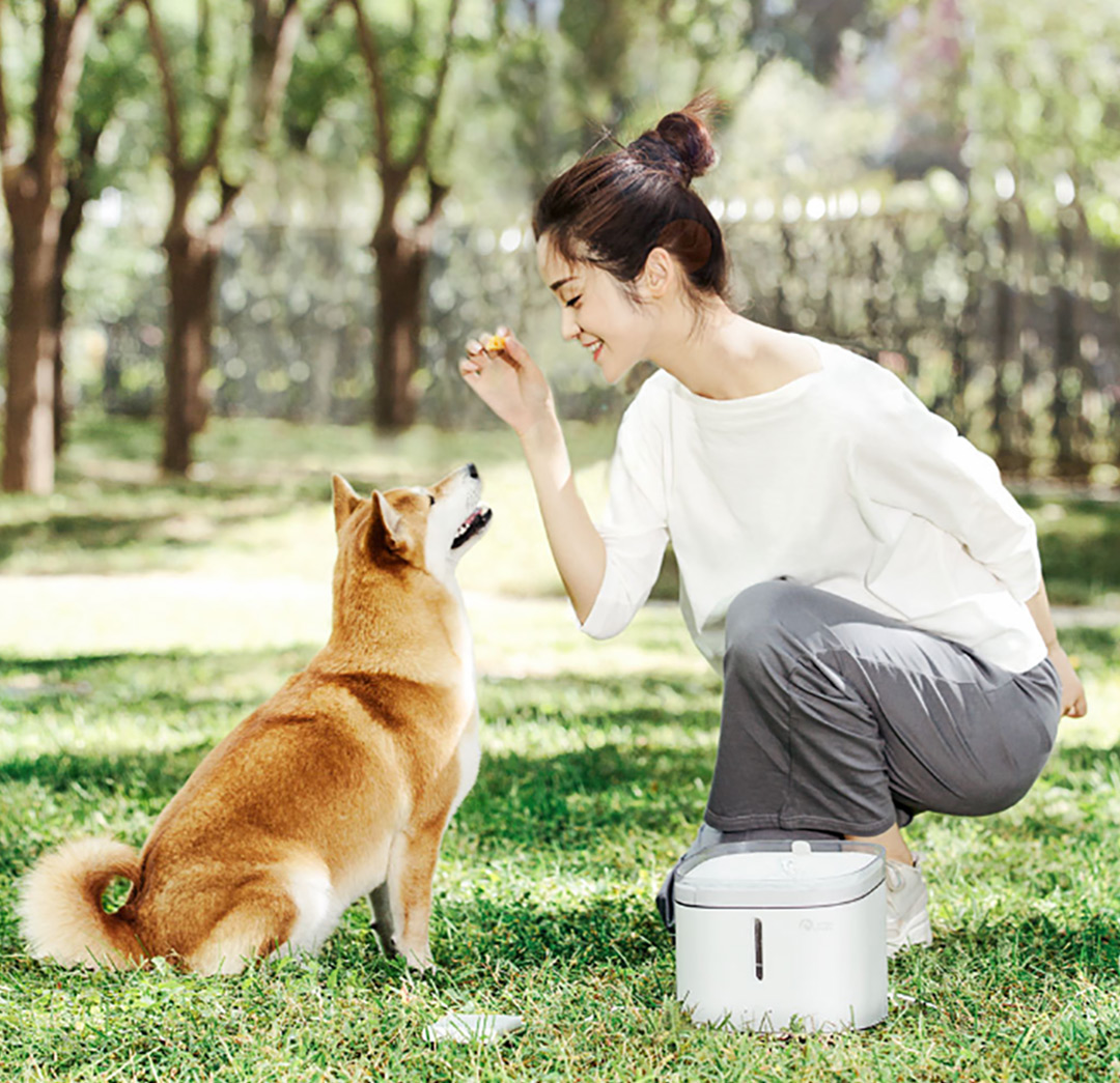 Xiaomi Kitten Puppy Water Dispenser