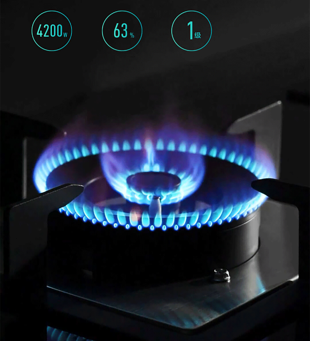 Xiaomi Viomi Smart Gas Stove