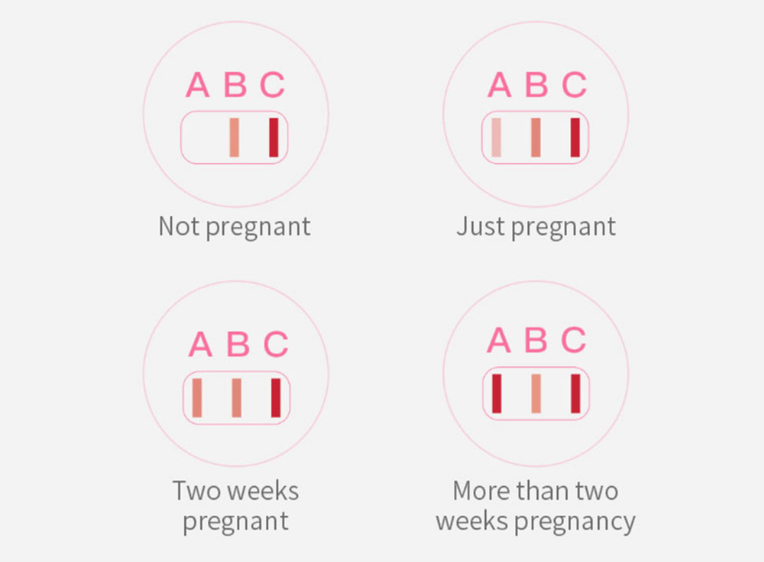 Xiaomi HiPee Pregnancy Kit