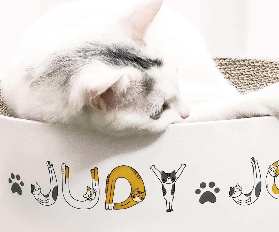 Xiaomi Jordan Judy Cat Scratcher