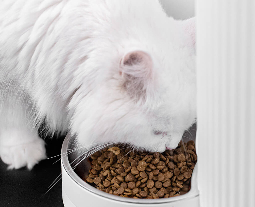 Xiaomi FurryTail Smart Pet Feeder