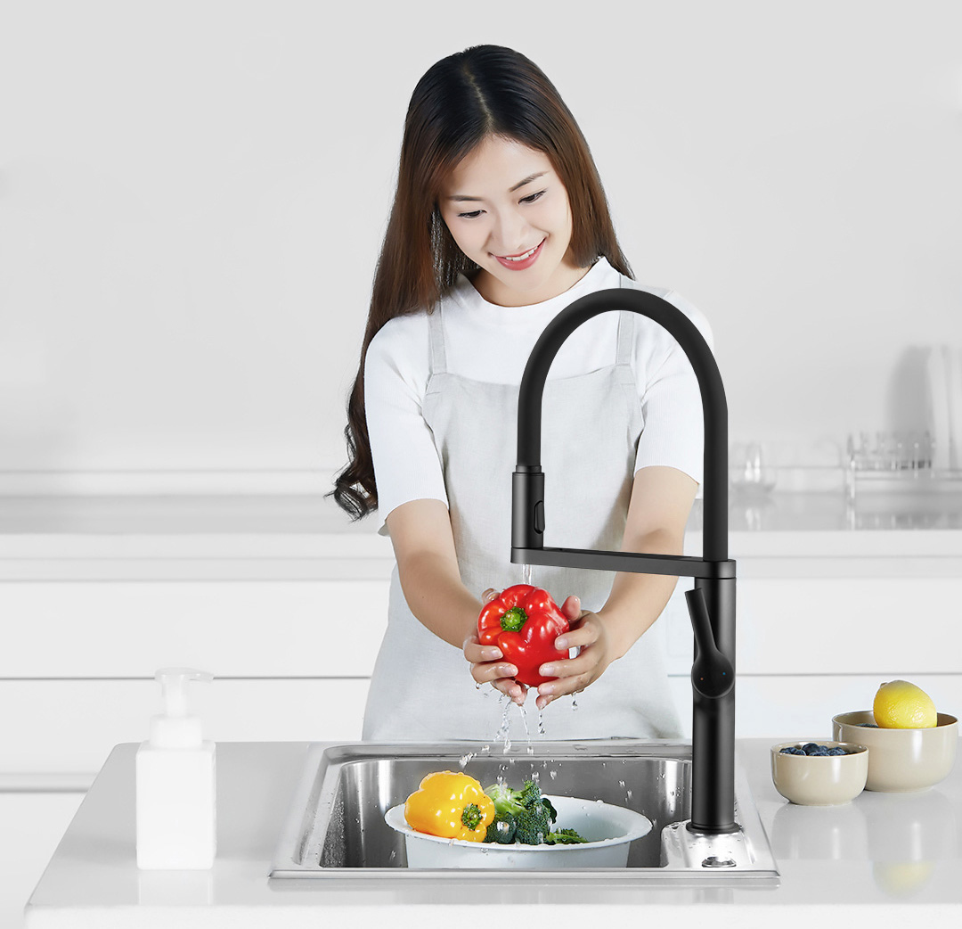 Xiaomi diiib Black U-Shape Kitchen Water Tap