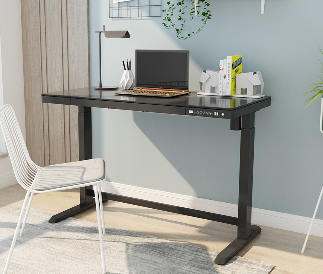 Squirrey Electric Height Adjustable Desk Premium Edition