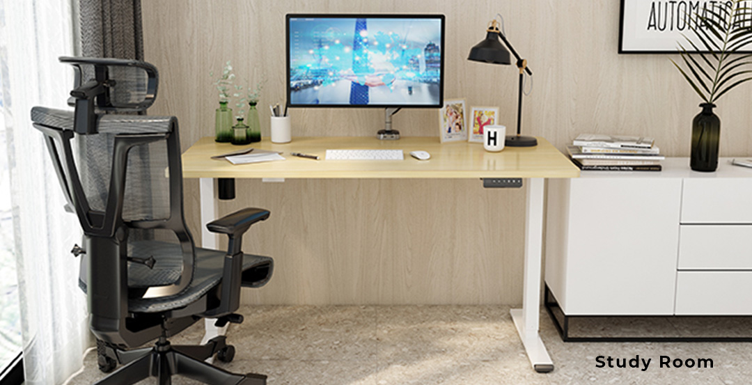 Squirrey Electric Height Adjustable Desk Smart Version